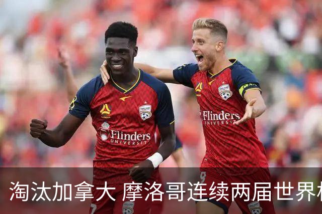 淘汰加拿大 摩洛哥连续两届世界杯闯入八强