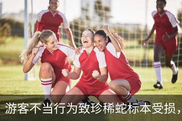 游客不当行为致珍稀蛇标本受损，后果严重