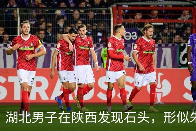 湖北男子在陕西发现石头，形似朱元璋“鞋拔子脸”引发收藏热