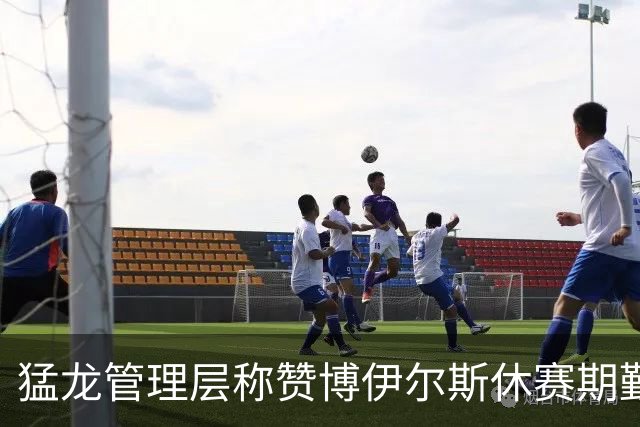 猛龙管理层称赞博伊尔斯休赛期勤奋训练，状态明显提高