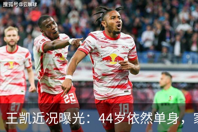 王凯近况曝光：44岁依然单身，家庭关系更加亲密
