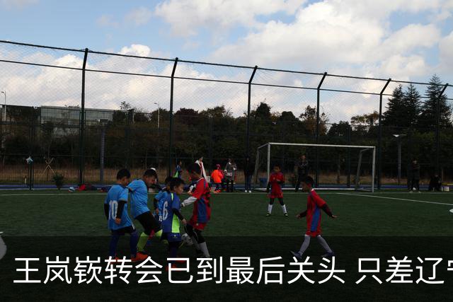 王岚嵚转会已到最后关头 只差辽宁点头