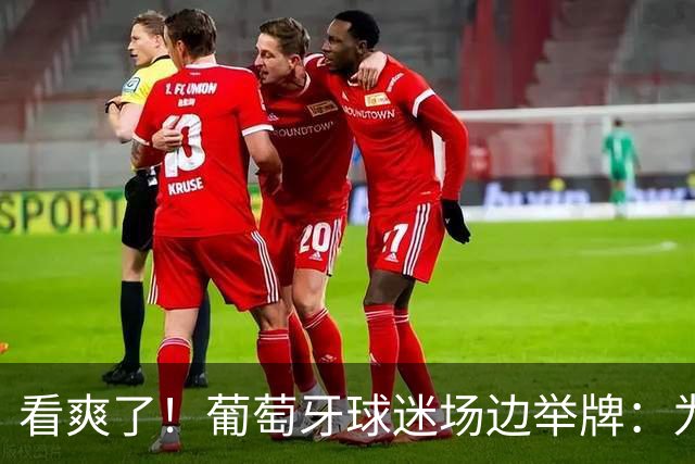 看爽了！葡萄牙球迷场边举牌：为见证历史最佳C罗而来