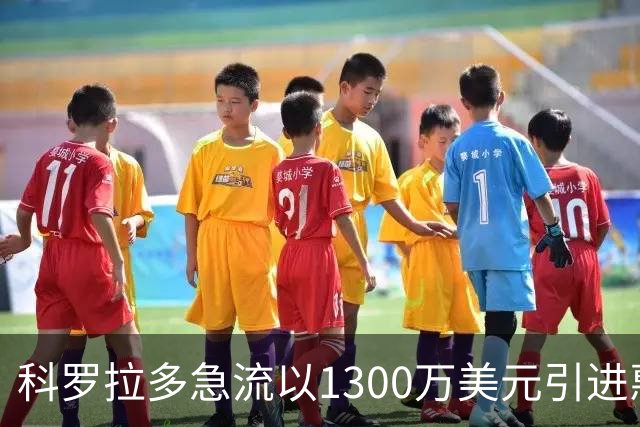 科罗拉多急流以1300万美元引进惠特克，创历史新高