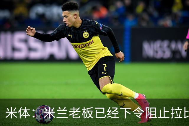 米体：米兰老板已经下令阻止拉比奥转会，他会是阿莫林手下核心