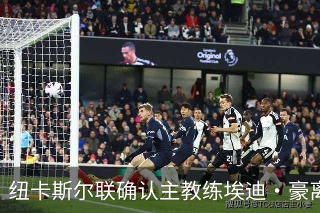 纽卡斯尔联确认主教练埃迪·豪离任