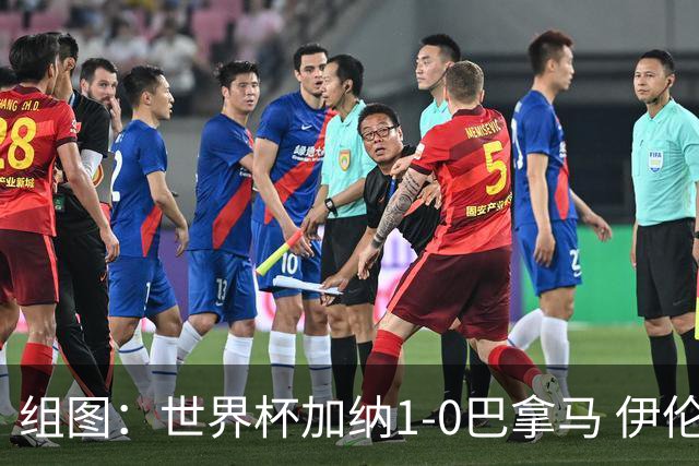组图：世界杯加纳1-0巴拿马 伊伦基绝杀