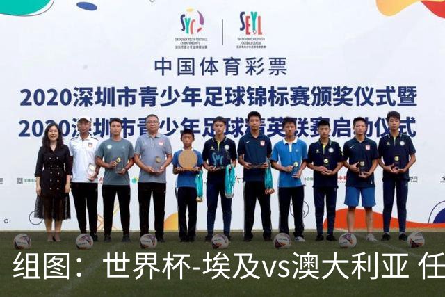 组图：世界杯-埃及vs澳大利亚 任意球造哈尼乌龙