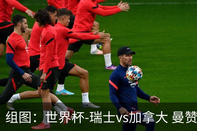 组图：世界杯-瑞士vs加拿大 曼赞比右脚劲射破门
