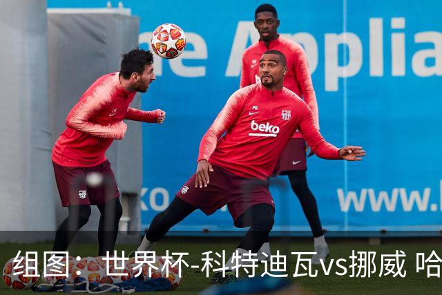 组图：世界杯-科特迪瓦vs挪威 哈兰德破门