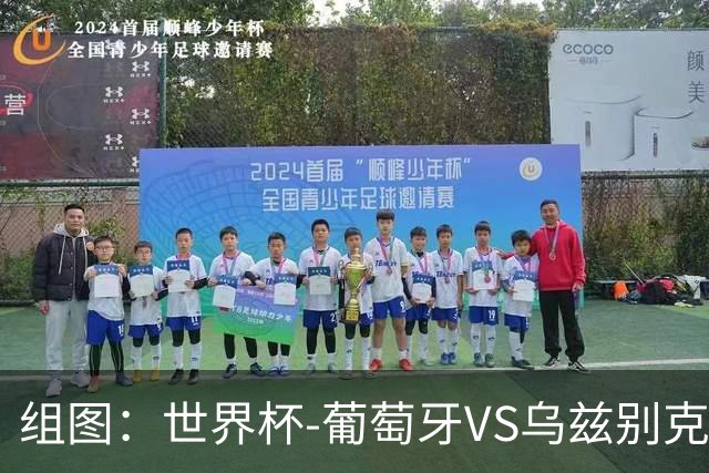 组图：世界杯-葡萄牙VS乌兹别克 C罗抢点破门