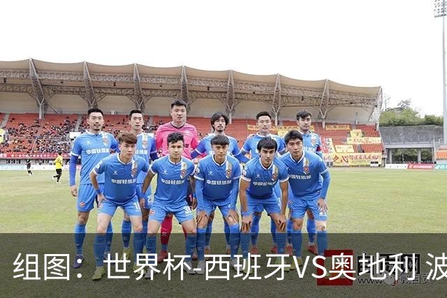 组图：世界杯-西班牙VS奥地利 波罗头槌破门