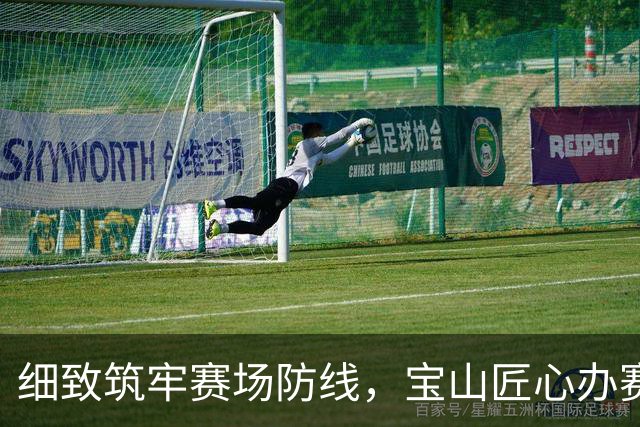 细致筑牢赛场防线，宝山匠心办赛护航绿茵