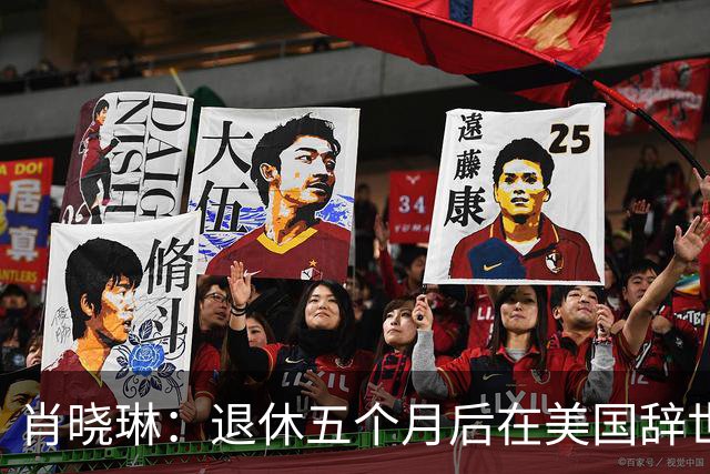 肖晓琳：退休五个月后在美国辞世