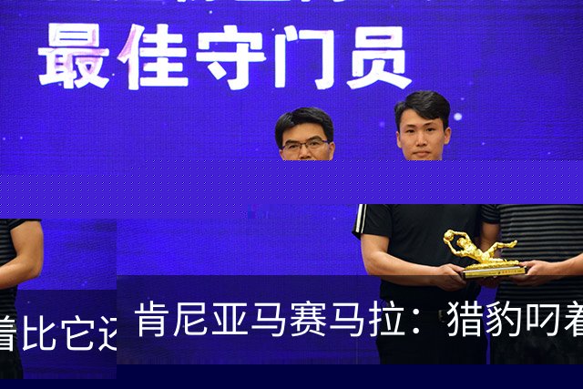 肯尼亚马赛马拉：猎豹叼着比它还大的鹿爬上树