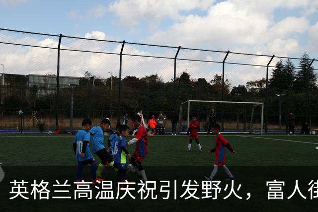 英格兰高温庆祝引发野火，富人街多处房屋被毁