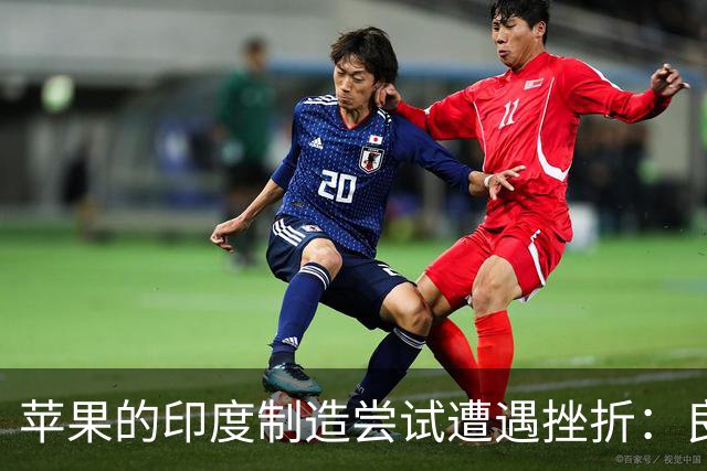 苹果的印度制造尝试遭遇挫折：良品率低于预期