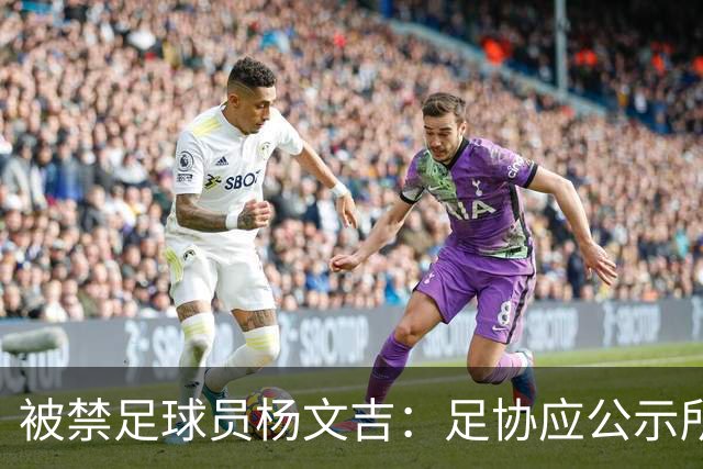 被禁足球员杨文吉：足协应公示所有队提交材料的进度