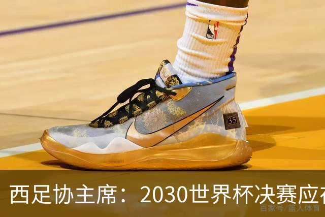 西足协主席：2030世界杯决赛应在西班牙踢 德拉富恩特继续任主帅