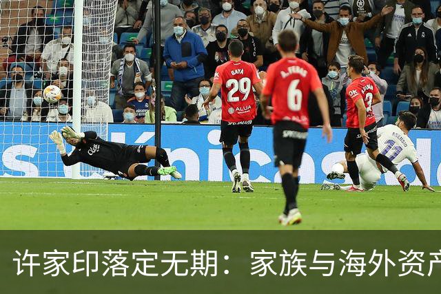 许家印落定无期：家族与海外资产遭连累