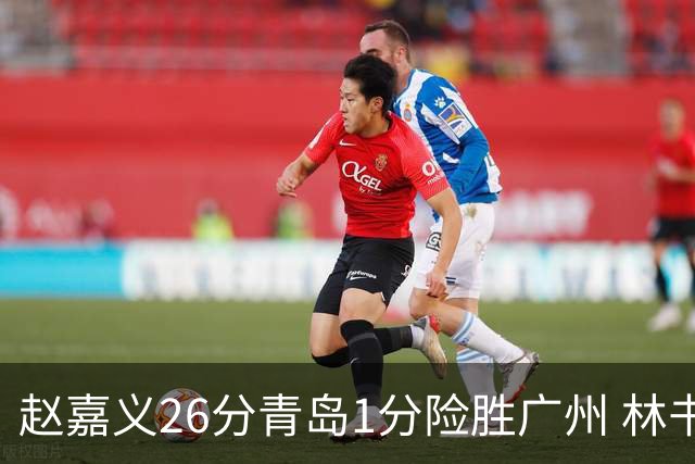 赵嘉义26分青岛1分险胜广州 林书豪8分4助攻