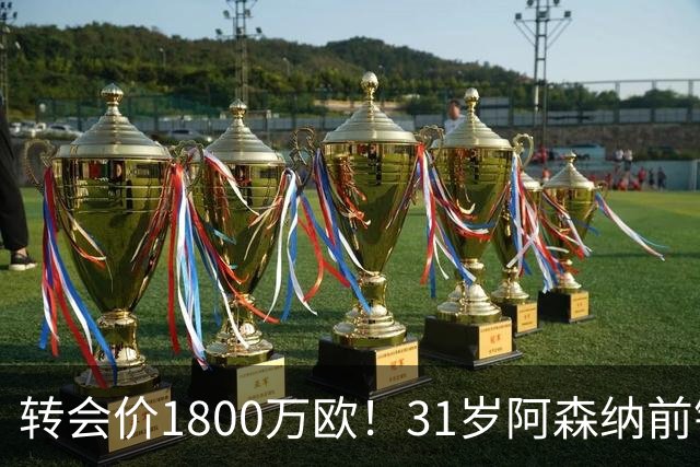 转会价1800万欧！31岁阿森纳前锋转投贝西克塔斯：世界杯2球2助攻