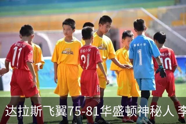 达拉斯飞翼75-81华盛顿神秘人 李月汝2投0中没得分拿到3板2助