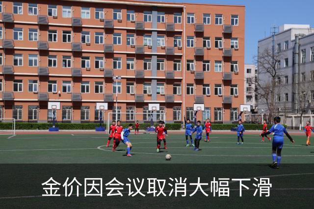 金价因会议取消大幅下滑
