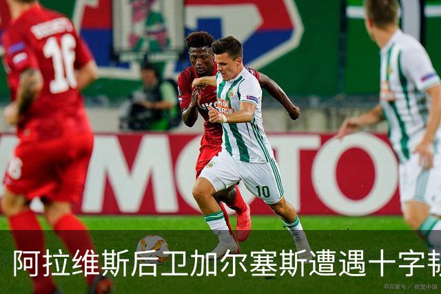 阿拉维斯后卫加尔塞斯遭遇十字韧带撕裂 将接受手术