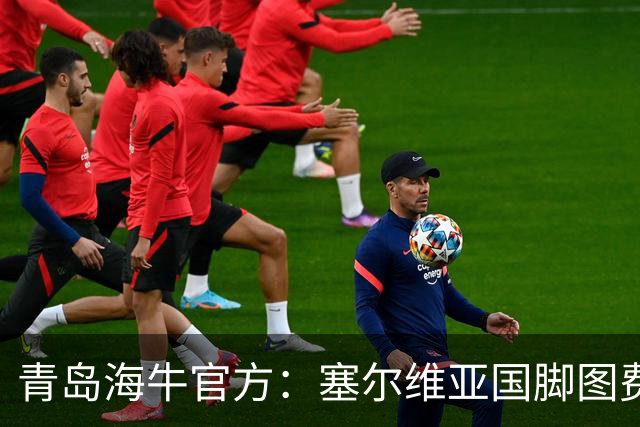 青岛海牛官方：塞尔维亚国脚图费格季奇加盟球队