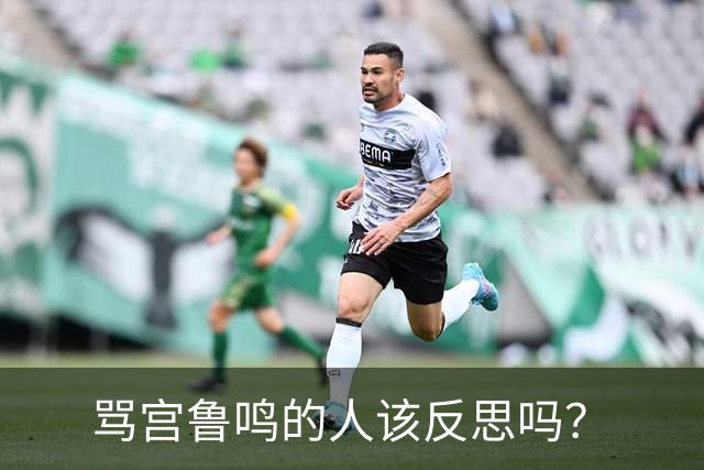 骂宫鲁鸣的人该反思吗？