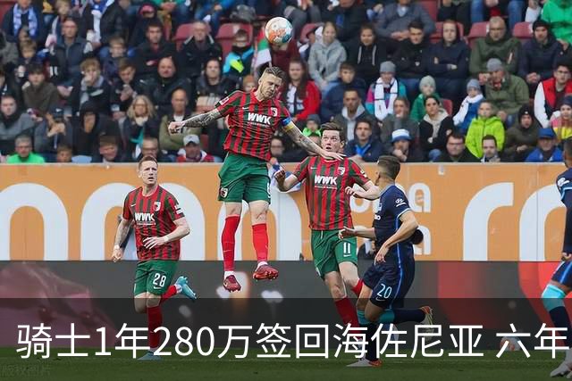 骑士1年280万签回海佐尼亚 六年后重返NBA