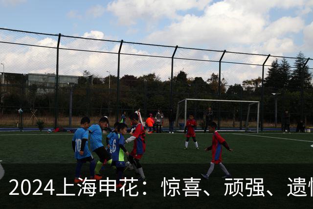 2024上海申花：惊喜、顽强、遗憾--明年拿冠军