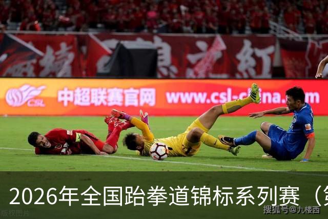 2026年全国跆拳道锦标系列赛（第二站）在广州收官