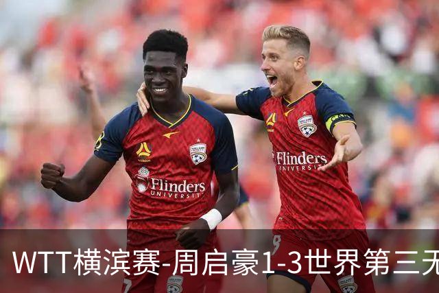 WTT横滨赛-周启豪1-3世界第三无缘16强 温瑞博1-3止步首轮